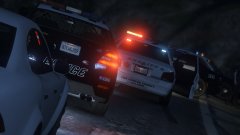 All Units Dispatch .... We Need Backup