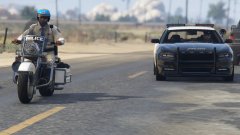 Buffalo With State Unit