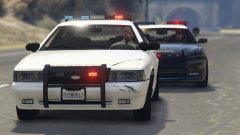 Sheriff Unit With Buffalo