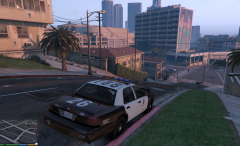 lspd version