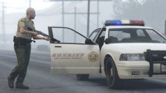 Officer's Partner with his gun trying to stop this Car