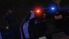 Cop investigate the area