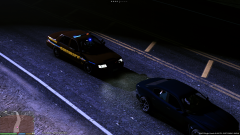 Lights camera action