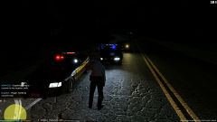 gun pull traffic stop