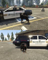 Someone said "Woof"?