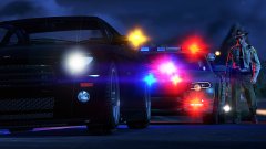 Buffalo Traffic Stop