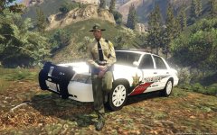 New LSCSO Crown Victoria!
