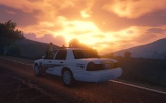 Never Forget Your Purpose In Life