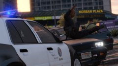 Sorry about your hood!