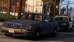 All American cops are thugs