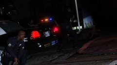 Typical west coast cops