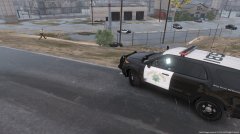 Pursuit Ends With Driver Driving Off Of Freeway