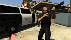 Obey?
