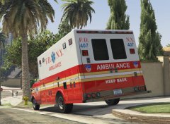 FDNY Ambulance back