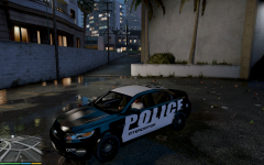 only the L2 and l3 version.