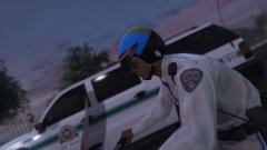 Vinewood Officer19