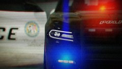 What do you see here