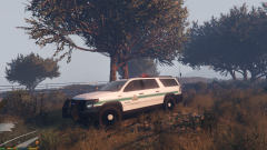 Suburban Park Ranger_1.png