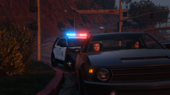Evening Traffic Stop #2