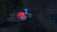 Hiding in the bushes