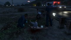 LSFD - Person shot down by Police in SS