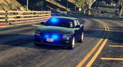 Unmarked 2015 Charger