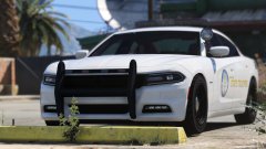 2015 State Trooper Dodge Charger