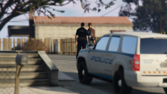 A Chat with the Supervisor