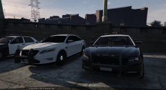 Grand Theft Auto V 17_11_2015 15_18_22.png