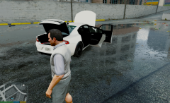 dodge 2015 conversion. without bugs.