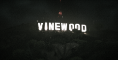 Vinewood under the rain