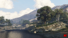 By the Lake