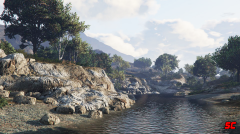 Rocky Shores