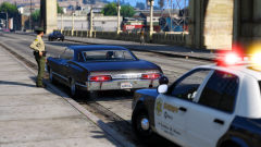 Traffic stop by Metropolitan Sheriff.