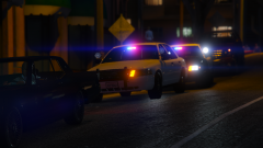 Traffic Stop Backup