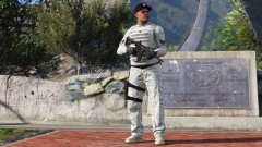 USAF Security Forces Specialist