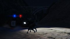 Responding to Shootout