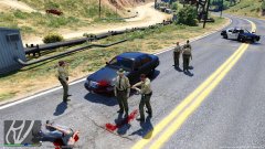 LSPDFR LIVE http://www.twitch.tv/bickeringbro/profile