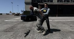 Military Investigation
