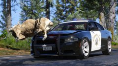 Why does this always happen on this road..