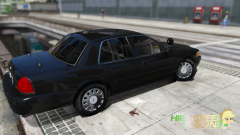 Message PoliceWag For Model