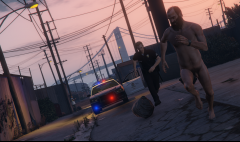 Dispatch we got a runner... description ? Ho well naked ...