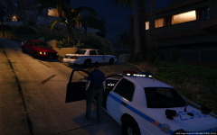 Burglery In Progress