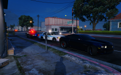 Traffic Stop