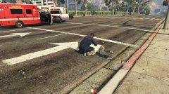 Hit and Run - URGENT