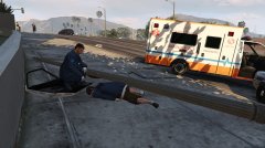 Attempted police vehicle theft