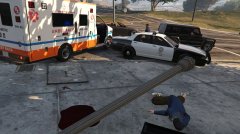 Attempted police vehicle theft