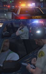 lspdfrcallout3.jpg
