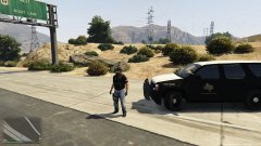 Lil task force going down