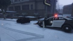 Riot in Rockford Hills